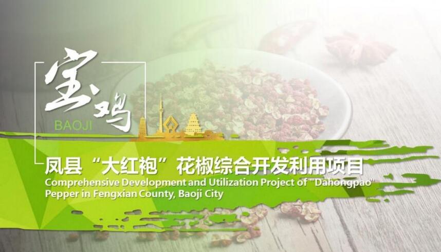 在精准招商网的服务体系中，招商项目策划包装具有商业计划书、项目可研、项目建议书、概念性规划等功能